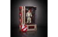 Hasbro Ghostbusters Plasma Series Ray Stantz Toy 6-Inch-Scale Collectible Classic 1984 Ghostbusters Figure FFHB5032 on Sale