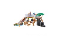 Playmobil 70343 Family Fun Outdoor Lion Enclosure FFPB5076 - Clearance Sale