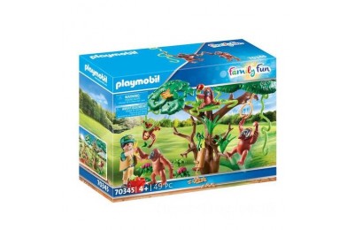 Playmobil 70345 Family Fun Orangutans with Tree FFPB5078 - Clearance Sale