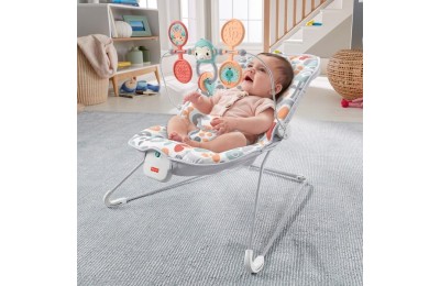 Fisher-Price Sweet Summer Blossoms Baby Bouncer FFFF4978 - Sale Clearance