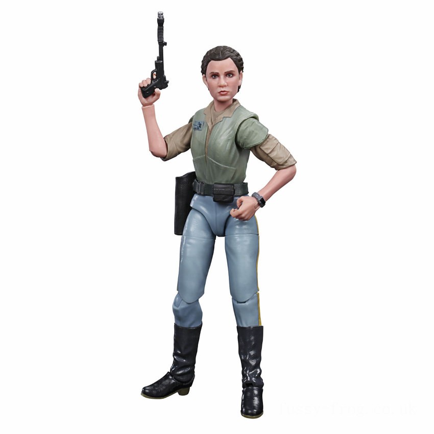 Hasbro Star Wars The Black Series Princess Leia Organa (Endor) Action Figure FFHB5011 on Sale