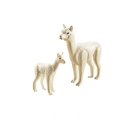 Playmobil 70350 Family Fun Alpaca with Baby FFPB4998 - Clearance Sale
