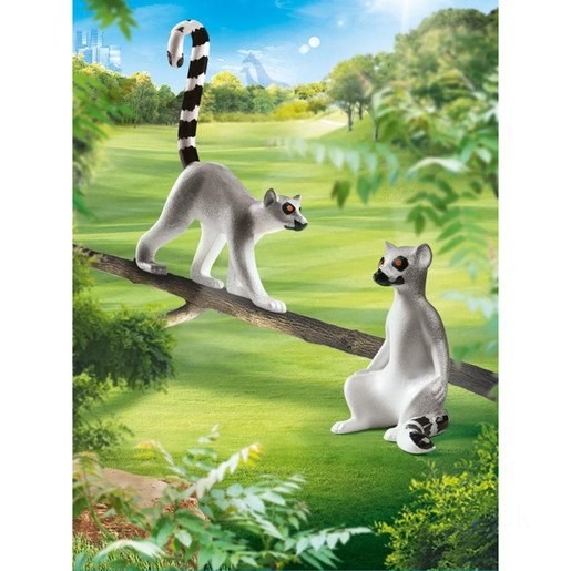 Playmobil 70355 Family Fun Lemurs FFPB5000 - Clearance Sale