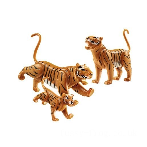 Playmobil 70359 Family Fun Tigers with Cub FFPB5003 - Clearance Sale