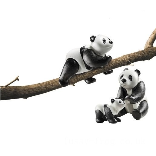 Playmobil 70353 Family Fun Pandas with Cub FFPB5042 - Clearance Sale