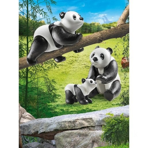 Playmobil 70353 Family Fun Pandas with Cub FFPB5042 - Clearance Sale