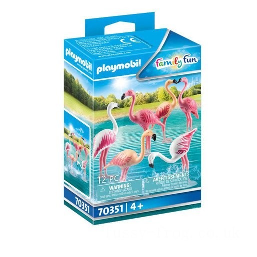 Playmobil 70351 Family Fun Flock of Flamingos FFPB5073 - Clearance Sale