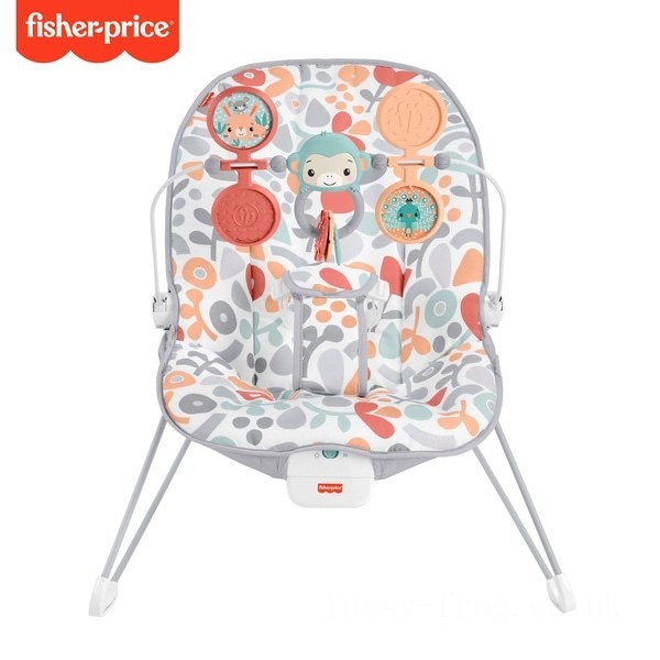 Fisher-Price Sweet Summer Blossoms Baby Bouncer FFFF4978 - Sale Clearance