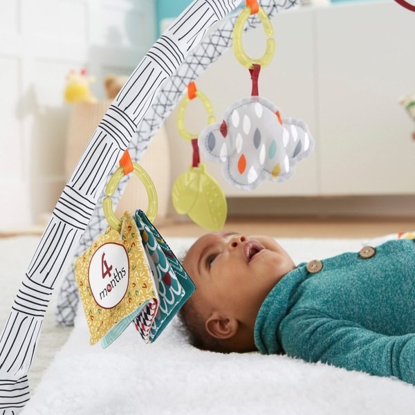 Fisher-Price Perfect Sense Deluxe Gym Baby Play Mat FFFF4994 - Sale Clearance